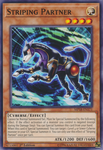 Striping Partner [MP18-EN171] Common